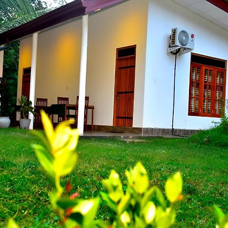 Little Ele Safari Lodge Удавалаве Экстерьер фото